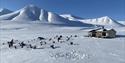 En hytte med hundesleder, sledehunder og hundehus i forgrunnen, omringet av et snødekt landskap med høye tilsnødde fjell og en blå himmel i bakgrunnen