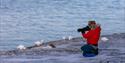 A person taking a picture of ptarmigans.