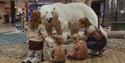 En voksen og tre barn som er på en utstoppet isbjørn i Svalbard museum sin utstilling