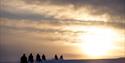 Snowmobile tour group driving towards the sun