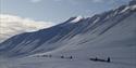 Dog sleds in a valley