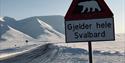 Danger sign for polar bear in Adventdalen