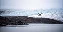 © Visit Svalbard