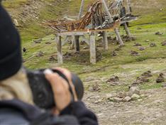 A person in the foreground holding a camera taking photos of common eider ducks laying in nests on the ground in the background
