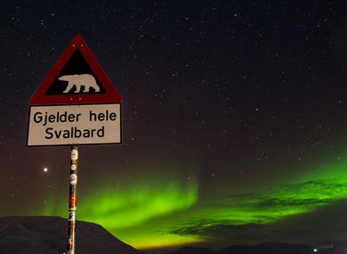 Polarbear warning sign with northern lights in the background 