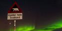 Polarbear warning sign with northern lights in the background