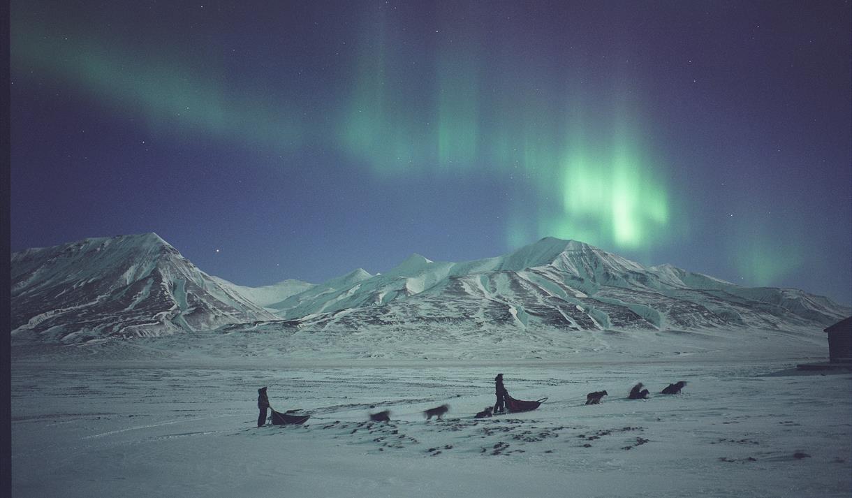 Dog sleds beneath the northern lights
