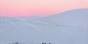 Three persons driving snowmobiles beneath a pink sky