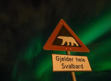 A polar bear warning sign in the foreground with northern lights in the skies in the background