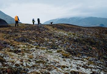 Prins Karls sommerekspedisjon: 9 dagers fottur - Svalbard Wildlife Expeditions