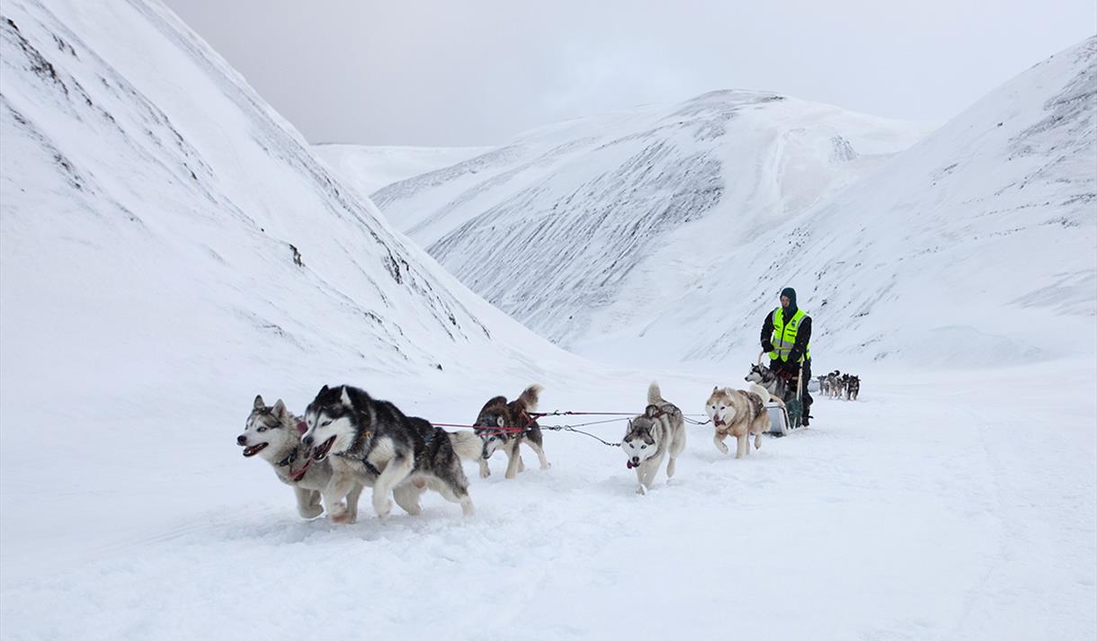 Sled dogs pulling a sled through a snowy valley