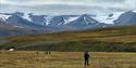 A group of people hiking through a green landscape with snowy mountains in the background