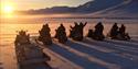 En turgruppe på snøscootere som ser mot sola