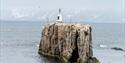 Den geologiske formasjonen Festningen i Isfjorden med et fyrtårn på seg