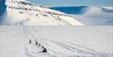 En turgruppe som kjører snøscooter gjennom et snødekt landskap