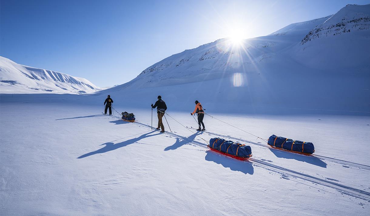 En guide og to gjester som drar pulker på skitur gjennom et lyst snødekt fjellandskap med blå himmel i bakgrunnen