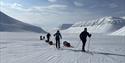 En gruppe med gjester som drar pulker på skitur i et åpent snødekt landskap med fjell og blå himmel i bakgrunnen
