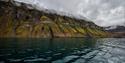 Grønne klipper langs en fjord på Svalbard