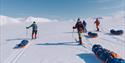 En gruppe med skiløpere som trekker pulker på tur