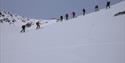 Group traversing a mountain using skis