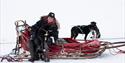 En guide (Tommy Jordbrudal) som sitter på en hundeslede sammen med en hund