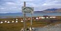Skilt som viser vei til Longyearbyen Camping med campingplassen i bakgrunnen