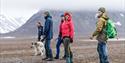 A group of guests with a dog and a guide on a hike in the wilderness.