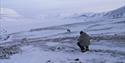 En gjest som sitter på huk med et kamera med telelinse og tar bilder av Svalbardrein som vandrer i bakgrunnen i lett snødekte omgivelser