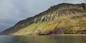 Fjellsider med grønn vegetasjon og fugleklipper høyt oppe i fjellet, med en strand og fjord i forgrunnen