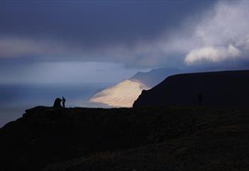 Fuglefjella: Hike from Bjørndalen to the bird mountain - Svalbard Wildlife Expeditions