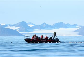 Persons fishing from a RIB boat on Isfjorden while surrounded by seagulls
