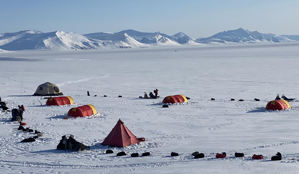 En teltleir med sledehunder, parkerte hundesleder og personer i et stort åpent snødekt landskap med fjell fjernt i bakgrunnen
A tent camp with sled do