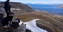 En guide med hunder som nyter utsikten fra Lindholmhøgda mot Longyearbyen
