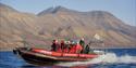 En RIB båt med gjester og en guide som seiler på en fjord