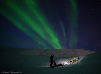 Dog sledding beneath underneath the Northern Lights