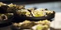 A plate of oysters on a kitchen counter