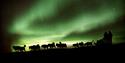 Dog sled with the Northern Lights in the background