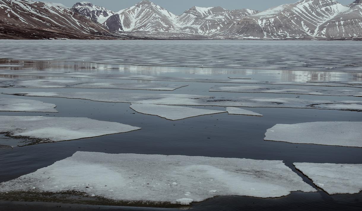 Isflak som flyter i en fjord med fjell i bakgrunnen