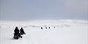 Gjester i forgrunnen og bakgrunnen som kjører snøscootere på rekke i et snødekt landskap med en isbre og fjell i bakgrunnen
