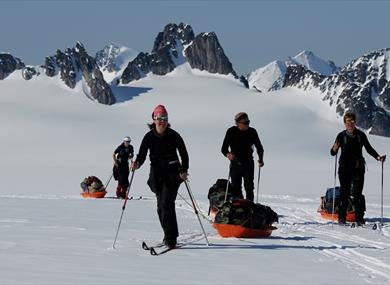 A tour group pulling sleds while skiing