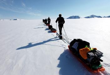 A tour group pulling sleds while skiing in a row