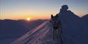En hund på en snødekt fjellrygg med fjelltoppen Trollsteinen og en solnedgang i bakgrunnen