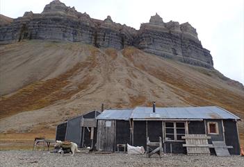 Skansen summer expedition 5 days: Hike from Skansbukta to Pyramiden  - Svalbard Wildlife Expeditions