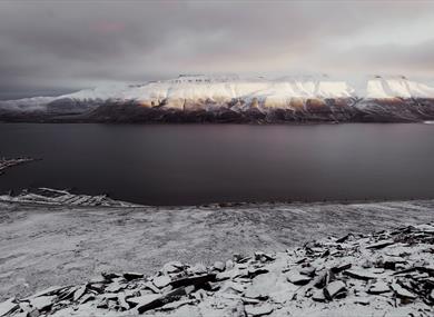 A snowy mountainside in the foreground with a fjord and snowy mountains in the background