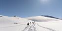 En gruppe personer som går på fottur gjennom et snødekt landskap på en isbre med en fjelltopp og en skyfri blå himmel i bakgrunnen