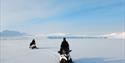Two people driving on snowmobiles