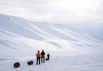 Oscar II skiekspedisjon 8 dager: Skitur fra Ymerbukta til Ekmanfjorden - Svalbard Wildlife Expeditions