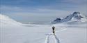 En person og en hund som går i et snøspor gjennom et snødekt fjellandskap med en fjord i bakgrunnen