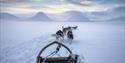 Sleddog team pulling a sledge in deep snow