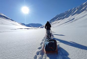 Wildlife vintercamp 3 dager: Fottur med truger og overnatting i teltleir - Svalbard Wildlife Expeditions